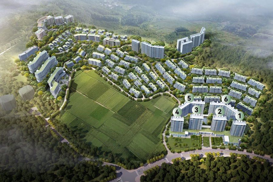 绿城如意山居鸟瞰图.jpg
