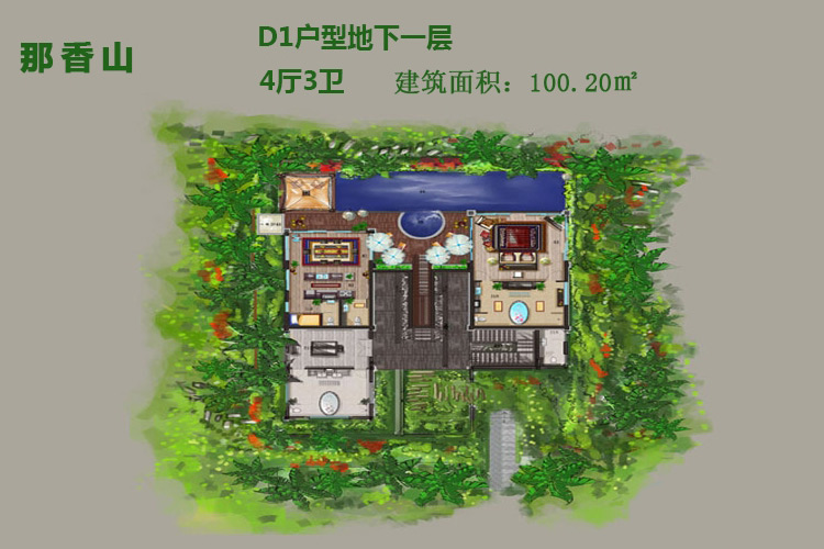 D1户型地下一层-4厅3卫-100.20㎡