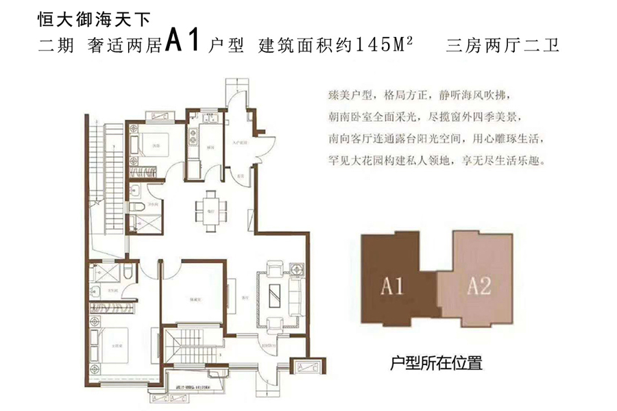 A1户型-建筑面积145平-三房两厅