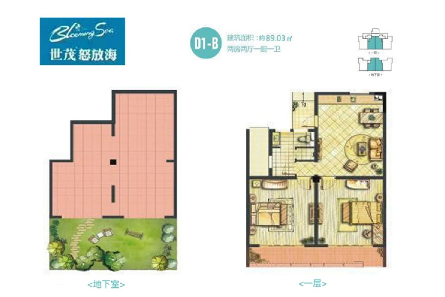D1-B户型  两房两厅